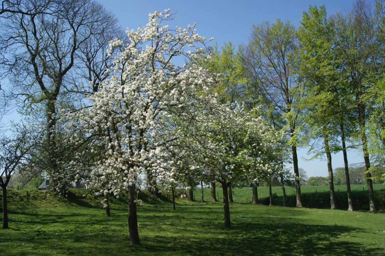 Gites Normands De Charme Les Chataigniers Bretteville-du-Grand Caux Exterior foto