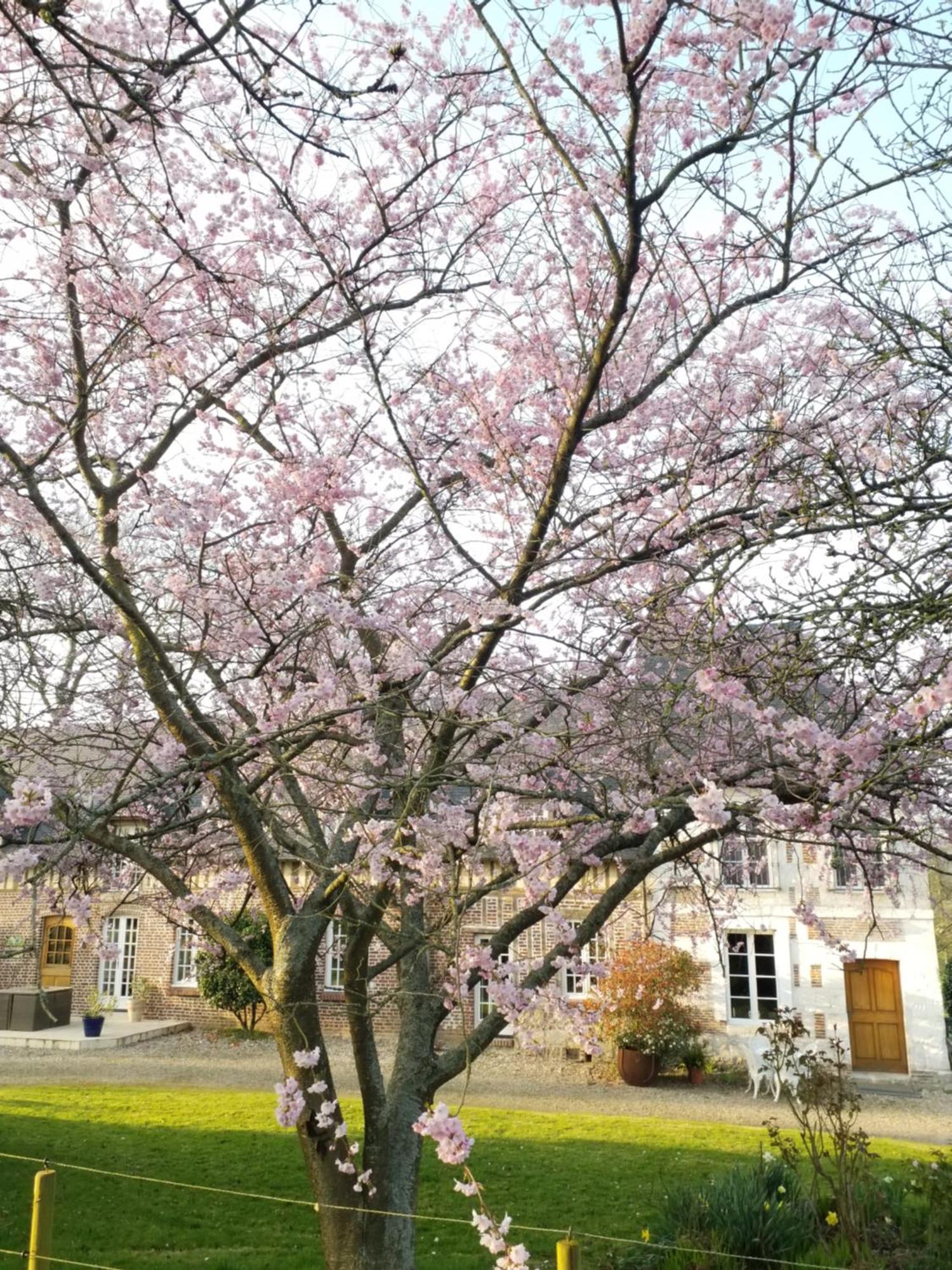 Gites Normands De Charme Les Chataigniers Bretteville-du-Grand Caux Exterior foto