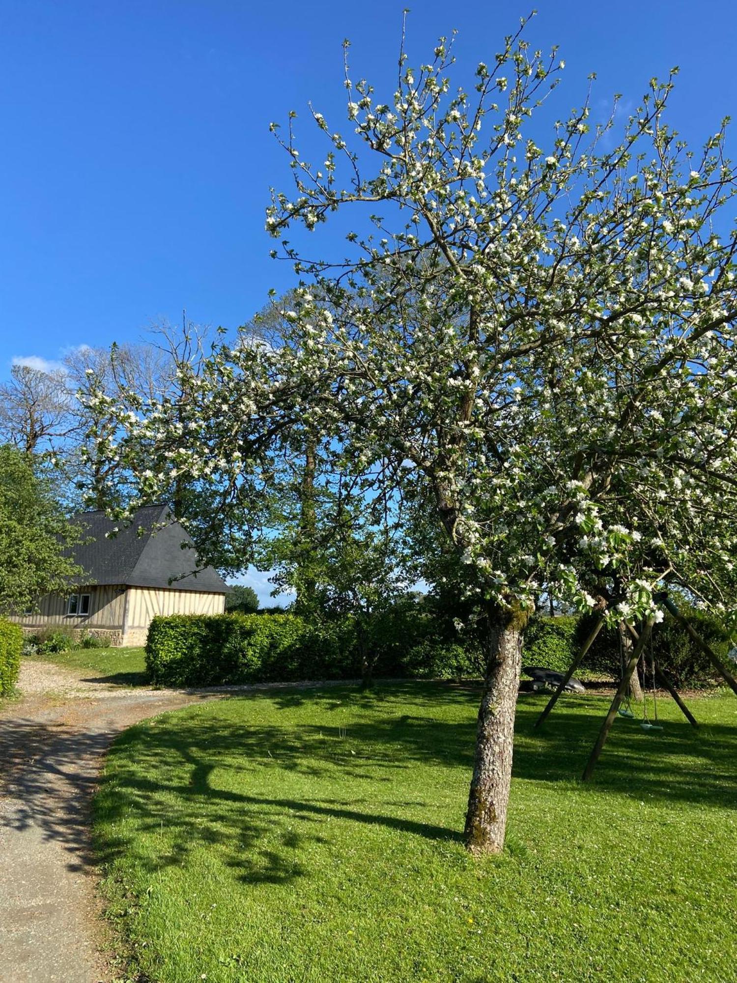 Gites Normands De Charme Les Chataigniers Bretteville-du-Grand Caux Exterior foto